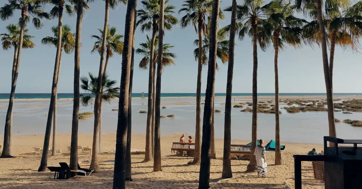 Guía de Compra: Hoteles con Actividades al Aire Libre
