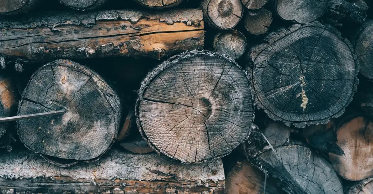 Best Eco-Friendly Insulation Materials Buying Guide