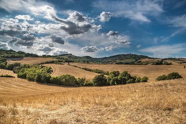 Guide d'achat : Les meilleures charrues agricoles