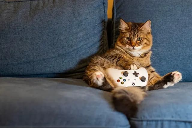 Guide complet pour bien choisir son matériel gaming