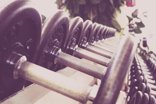 Ultimate Guide to Fitness Equipment Discounts